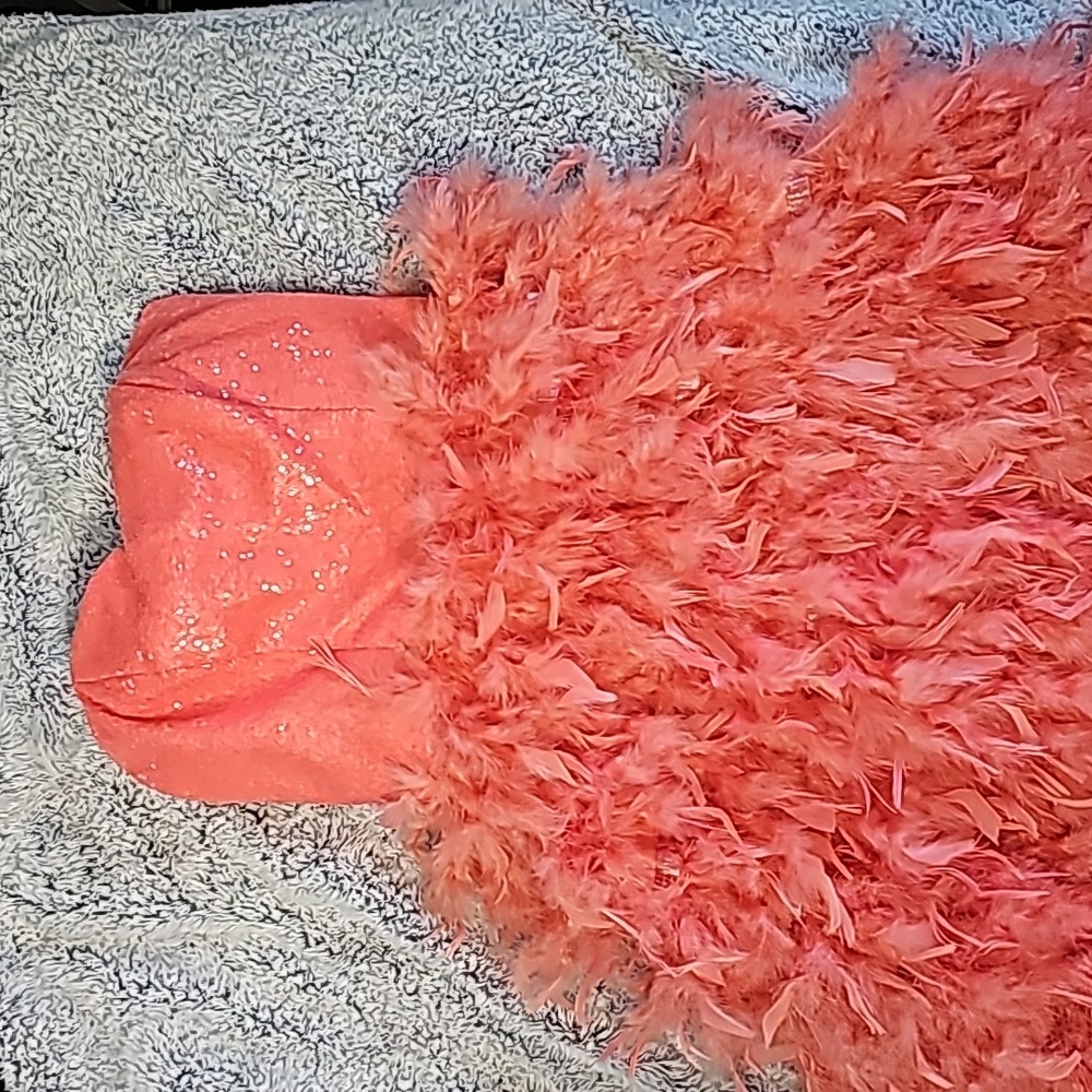 Pink Feather Dress
